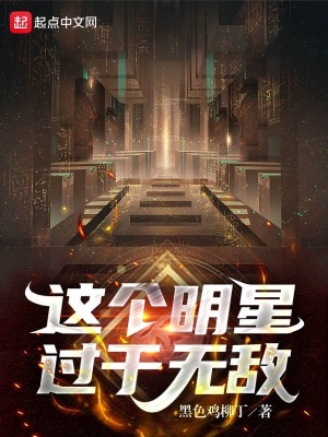 这个明星过于无敌小说