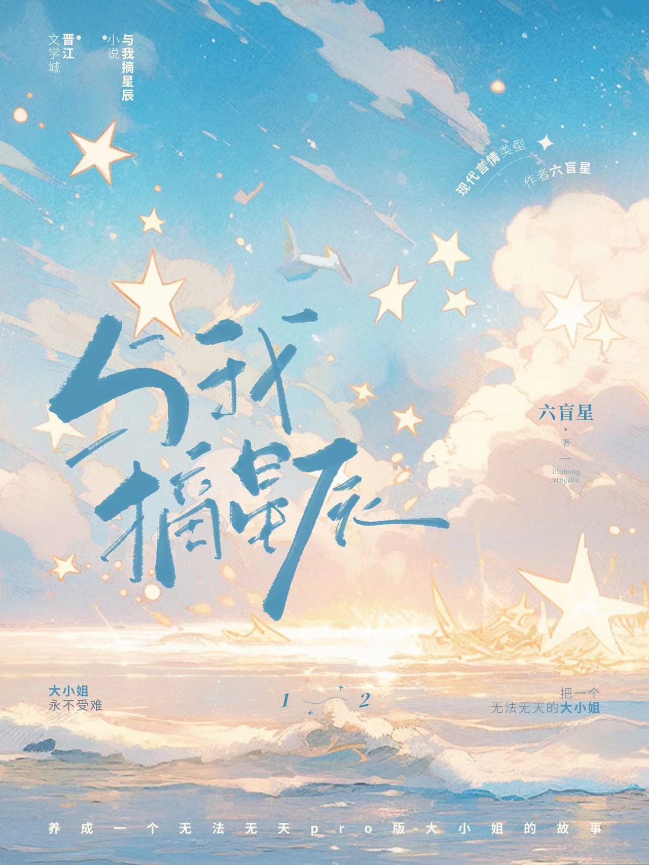 与我摘星辰六盲星全文免费阅读全文未删减