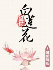 盛世白莲花全集