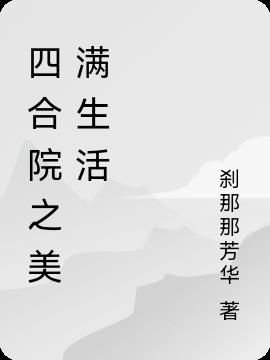 四合院之美满生活txt