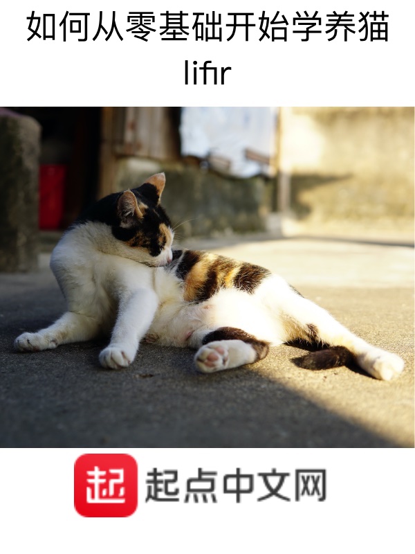 0基础学养猫