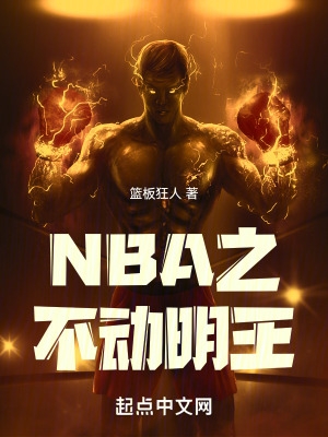 nba之不动明王小说全文